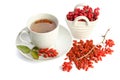 Goji fresh antioxidant tea Royalty Free Stock Photo