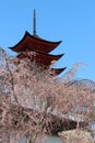 Goju-no-to pagoda in miyajima (japan) Royalty Free Stock Photo