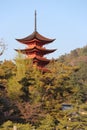 Goju-no-to pagoda in miyajima (japan) Royalty Free Stock Photo