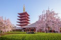 Gojunoto tower with cherry blossom in sensoji Tokyo