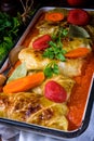 Golabki - polish cabbage rolls in tomato sauce Royalty Free Stock Photo