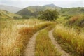 Golan heights