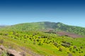 Golan Heights Royalty Free Stock Photo