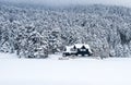 Golcuk - Bolu - Turkey, winter snow during snowfall. Travel concept photo