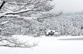 Golcuk - Bolu - Turkey, winter snow during snowfall. Travel concept photo