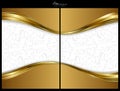 Gold abstract background, front and back Royalty Free Stock Photo