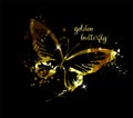 Gold abstract butterfly on black background with reflection. Vector illustration Royalty Free Stock Photo