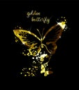 Gold abstract butterfly on black background with reflection. Vector illustration Royalty Free Stock Photo