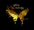 Gold abstract butterfly on black background with reflection. Vector illustration Royalty Free Stock Photo