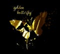 Gold abstract butterfly on black background with reflection. Vector illustration Royalty Free Stock Photo