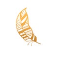 Gold abstract ornate feather of bird with curve shape of plumage