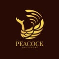 Gold abstract peacock luxury logo sign vector design