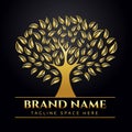 Gold tree logo vector isolated on black background. Royalty Free Stock Photo