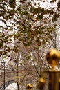 Gold access to the Eiffel Tower in Autumn