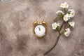 Gold alarm clock and blossoming cherry branch artificial on a beige grunge background. Spring time. Creative layout. Top view,