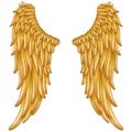 Gold angel wings Royalty Free Stock Photo