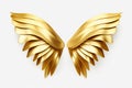 gold angel wings on a white background