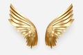 gold angel wings on a white background