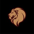 Gold Angry Lion Head Logo, Icon, Sign, Black Background Flat Design Vector Illustration Royalty Free Stock Photo
