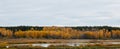 Gold autumn beautiful forest landskape with a lake in front, russian nature Royalty Free Stock Photo