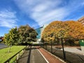 Gold Autumn in the center of the city center of Sheffield, United Kingdom. Royalty Free Stock Photo