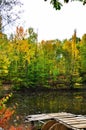 Gold autumn and forest lake Royalty Free Stock Photo