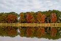 Gold autumn forest reflected in lake in Frankenthal, Germany Royalty Free Stock Photo