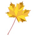 Gold autumn single maple leaf Royalty Free Stock Photo