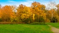 Gold Autumn Royalty Free Stock Photo