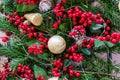 A gold ball, with pine cones, pine branches, butcher`s broom and lights, used as Christmas decorations