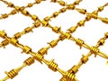 Gold - Barbed wire Royalty Free Stock Photo