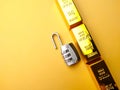 Gold bars and padlock Financial concept and conceptual image