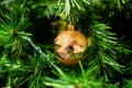 Golden bauble among chistmas tree brenches. Closeup look of the ball.