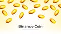 Gold Binance Coin BNB falling from the sky. BNB cryptocurrency concept banner background