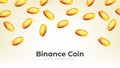 Gold Binance coins falling from the sky. BNB cryptocurrency concept banner background