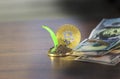 Gold bitcoin, in the background, dollars, decreasing chart, close-up Royalty Free Stock Photo