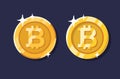 Gold bitcoin coin set Royalty Free Stock Photo