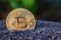 Gold Bitcoin coin on soil. Royalty Free Stock Photo