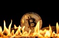 Gold bitcoin physical coins in fire flames Royalty Free Stock Photo