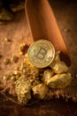 Gold bitcoin physical and Gold nugget grains. Concept mining cry