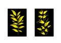 Golden plant silhouette isolated on black background, vector