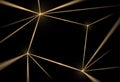 Gold and black background. Luxury texture geometric line pattern. Futuristic light network, graphic golden grid. Vector