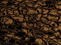 Gold black paint toned wood surface texture. Rare wood grain natural pattern for design decor. Abstract shiny metallic background