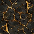 Gold Black Seamless Pattern, Golden Luxury Kintsugi Texture Tile, Vantablack with Gold Metal Endless Pattern