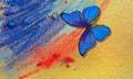 Gold and blue background. colorful blue morpho butterfly, blue and red pastels crayons on gold paper