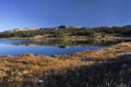 The gold and blue of fall at high elevation