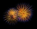 Gold and blue fireworks, isolated on a black background Royalty Free Stock Photo