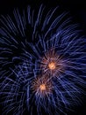 Gold and blue fireworks in sky Royalty Free Stock Photo