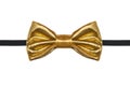 Gold bow tie close up isolated on white background Royalty Free Stock Photo