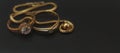 Gold bracelet and two gold rings on black doff background with snake model Royalty Free Stock Photo